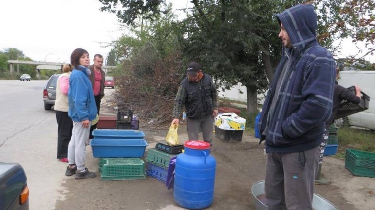 Illegal fish vendor presented himself as police officer and fled (Photo)