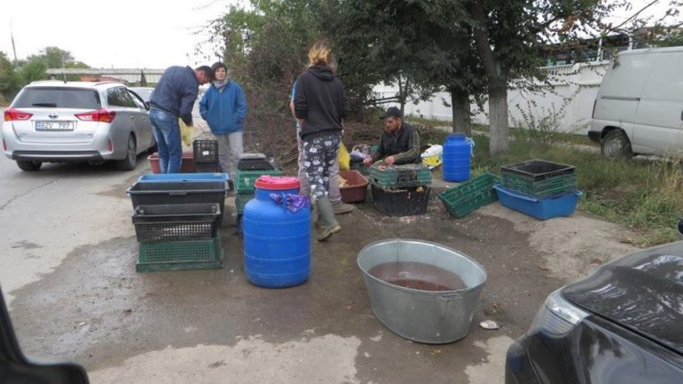 Illegal fish vendor presented himself as police officer and fled (Photo)