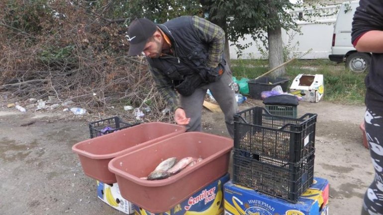 Illegal fish vendor presented himself as police officer and fled (Photo)