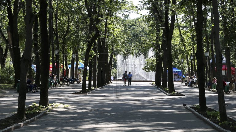 Mission accomplished! Hardly any stalls left in Ştefan cel Mare and Nativity Cathedral parks