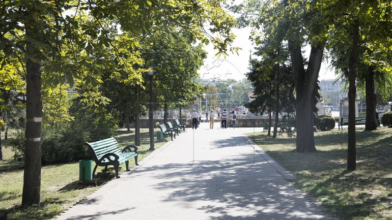 Mission accomplished! Hardly any stalls left in Ştefan cel Mare and Nativity Cathedral parks