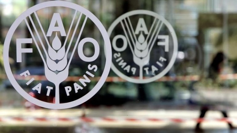 FAO launches project worth $125,000 dedicated to agroecology in Moldova