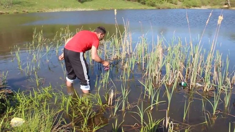 Hunting Poachers. Inspectors found two hundred crab traps