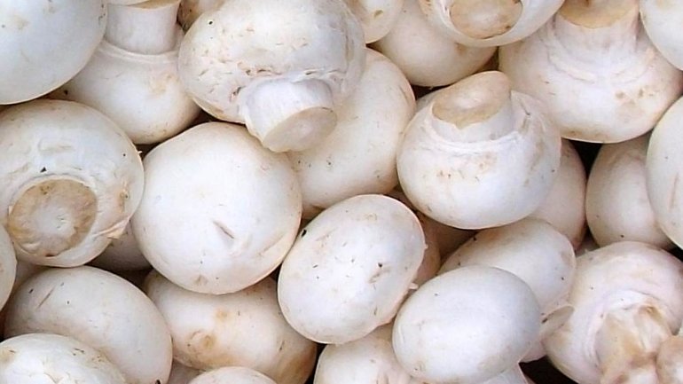 18 cases including 5 children hospitalized due to mushroom poisoning 