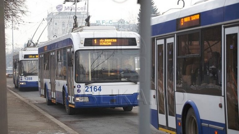 Public transports to be modified on National Day of Wine 