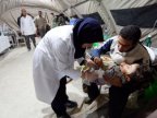 Iran devastating earthquake left behind 430 deaths, 7 000 injured and 70 000 seeking shelter