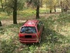 Car found abandoned in forest after it was stolen by three teenagers in Cricova town