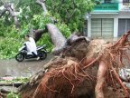 Another typhoon devastated Vietnam: At least 27 killed by Damrey (Photos)