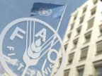 FAO: Global Food Prices lower as production reaches new highs 