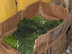 18 tons of dill and parsley from Uzbekistan denied entry in Republic of Moldova