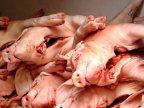 Over 7,5 tones of pork detained at Moldo-Ukranian border