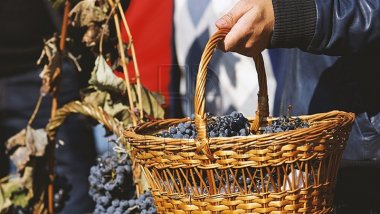 Selected wines and traditional Gagauz cuisine exposed in Comrat's Wine Day