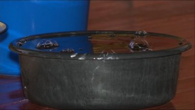  Public institution from Vulcanesti destroyed by rain 