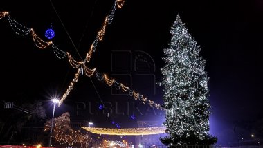 Chisinau City Hall will recover all money spent to purchase and transport the Christmas Tree from Ukraine 