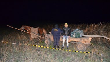 Romanian caught attempting to smuggle 6 000 cigarettes packs with a carriage
