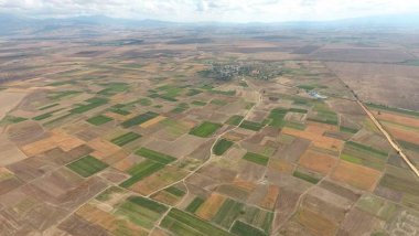 FAO launches nationwide campaign in former Yugoslav Republic of Macedonia 