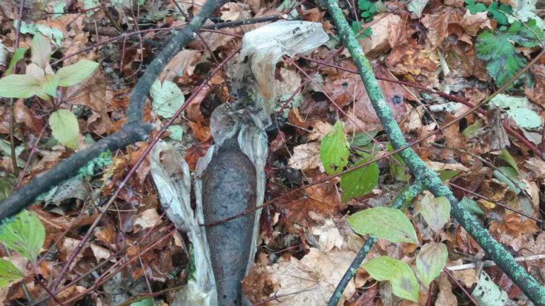 EXPLOSIVE from Second World War discovered in forest from Râșcani sector