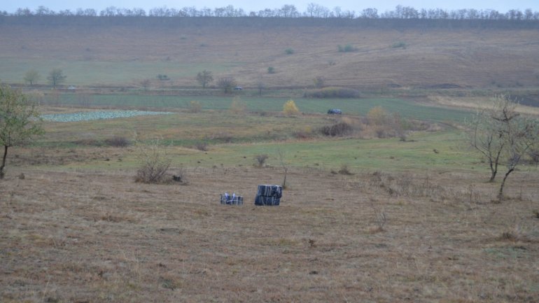 Cigarettes smuggling attempt stopped near Prut river