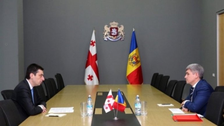 Alexandru Jizdan, Moldovan Minister of Internal Affairs met his colleague from Georgia