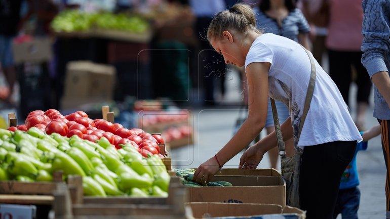 Farmer from Orhei grows organic peppers for local markets