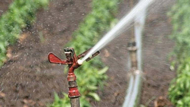 Farmers bemoan groundwater scarcity for irrigation due to law application 