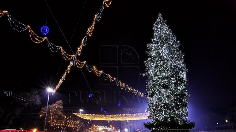 City Hall will install the tallest Christmas tree Chisinau ever saw