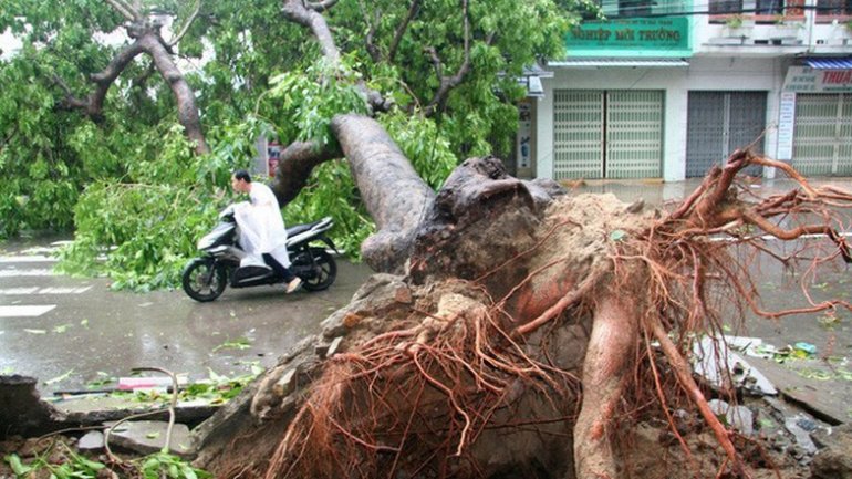 Another typhoon devastated Vietnam: At least 27 killed by Damrey (Photos)