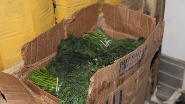 18 tons of dill and parsley from Uzbekistan denied entry in Republic of Moldova