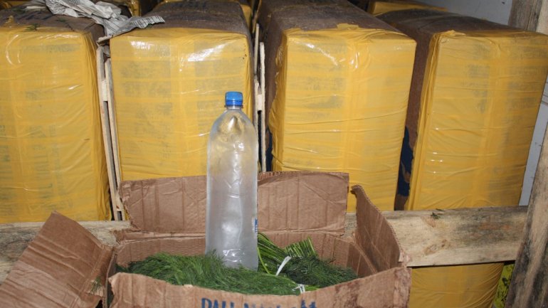 18 tons of dill and parsley from Uzbekistan denied entry in Republic of Moldova