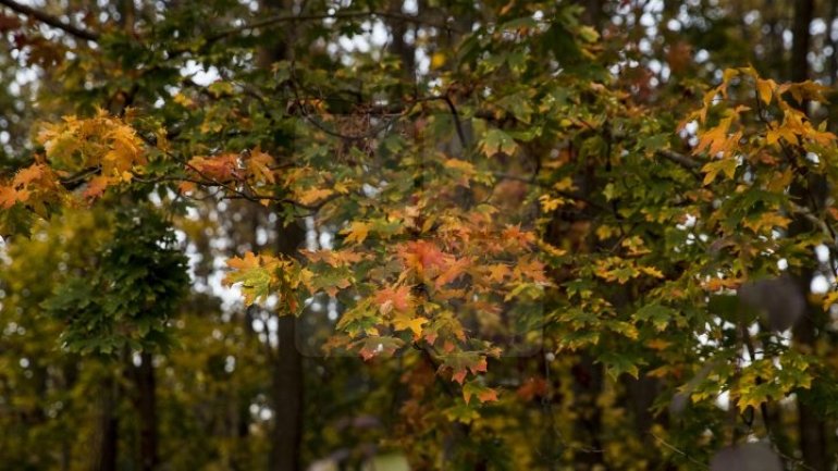 Weather Forecast for coming days in Moldova 