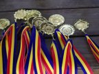 How many medals did Moldova win in European Youth Olympic Festival 