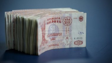 Government to create new job places. Which criteria should be fulfilled?