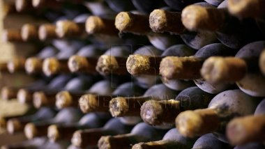 Moldovan Wine registers the highest exports since 2014 