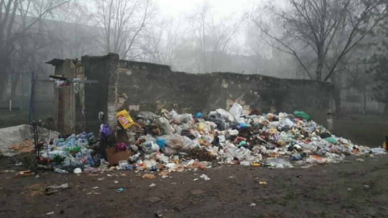 Bălţi locals suffer epidemic of unevacuated garbage for a week (Photoreport)