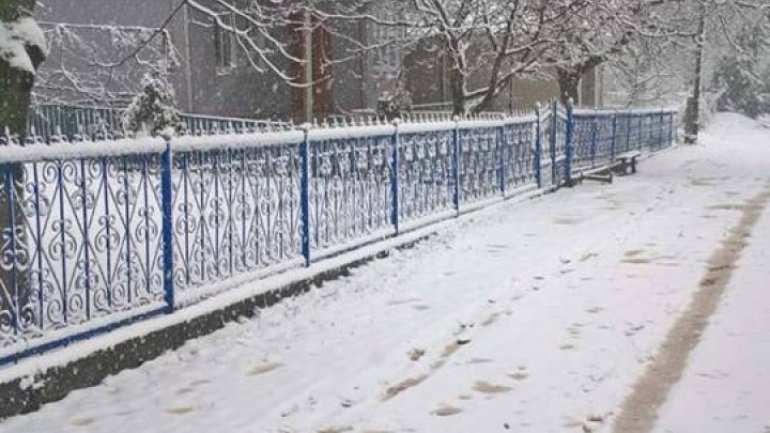 Beautiful snowy pictures in Briceni (photos)