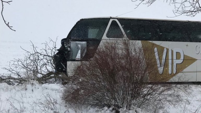 Tour bus went off the lane and hit a tree near Bujor village