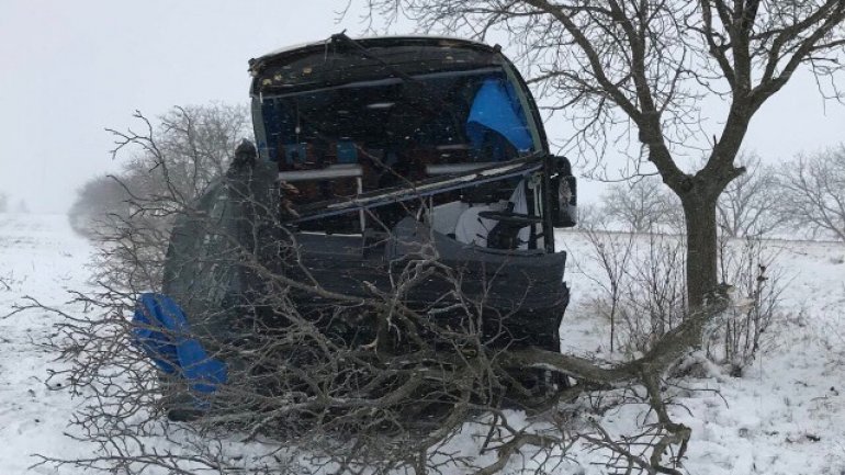 Tour bus went off the lane and hit a tree near Bujor village