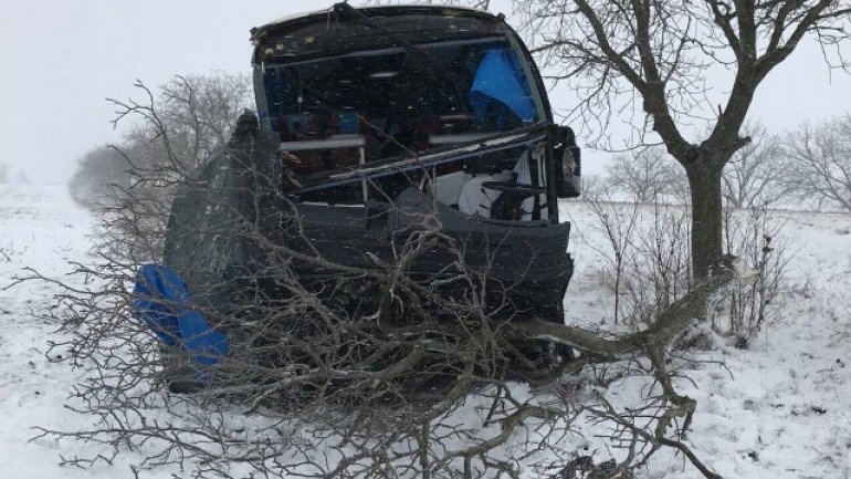 Tour bus went off the lane and hit a tree near Bujor village