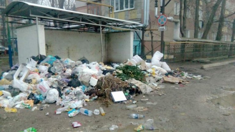 Bălţi locals suffer epidemic of unevacuated garbage for a week (Photoreport)