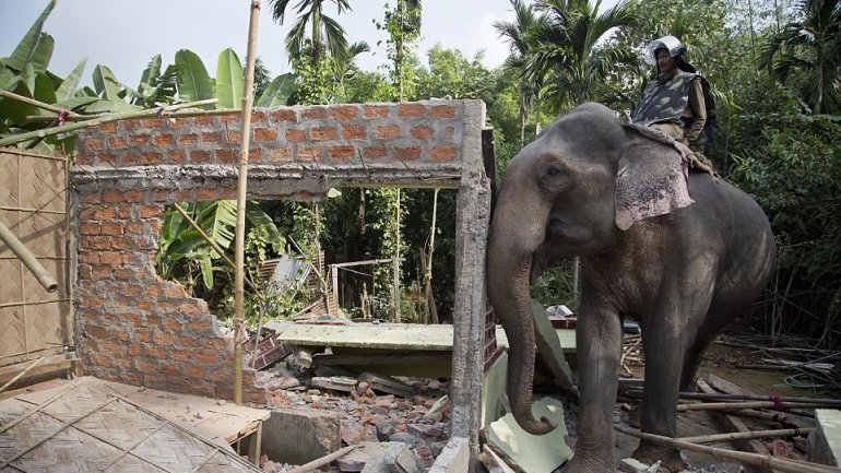 Indian police uses elephants to demolish dwellings trespassing their natural habitat