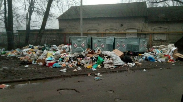 Bălţi locals suffer epidemic of unevacuated garbage for a week (Photoreport)