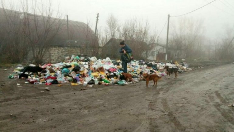 Bălţi locals suffer epidemic of unevacuated garbage for a week (Photoreport)