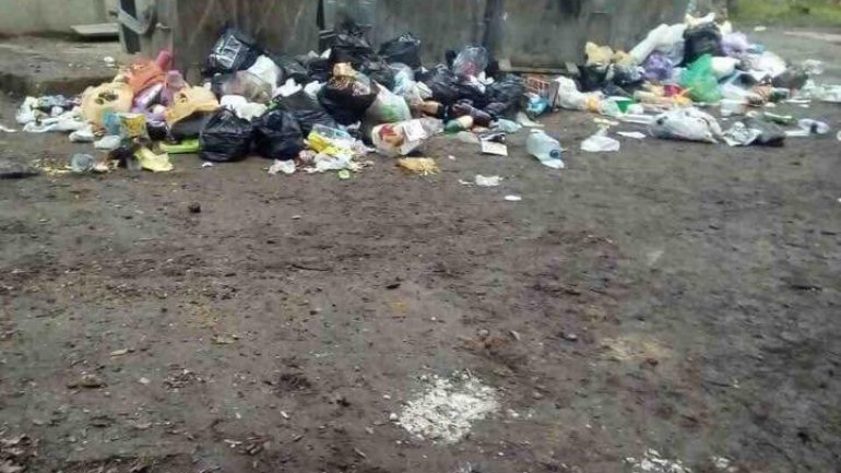 Bălţi locals suffer epidemic of unevacuated garbage for a week (Photoreport)