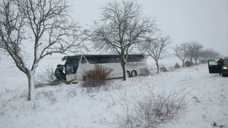 Tour bus went off the lane and hit a tree near Bujor village