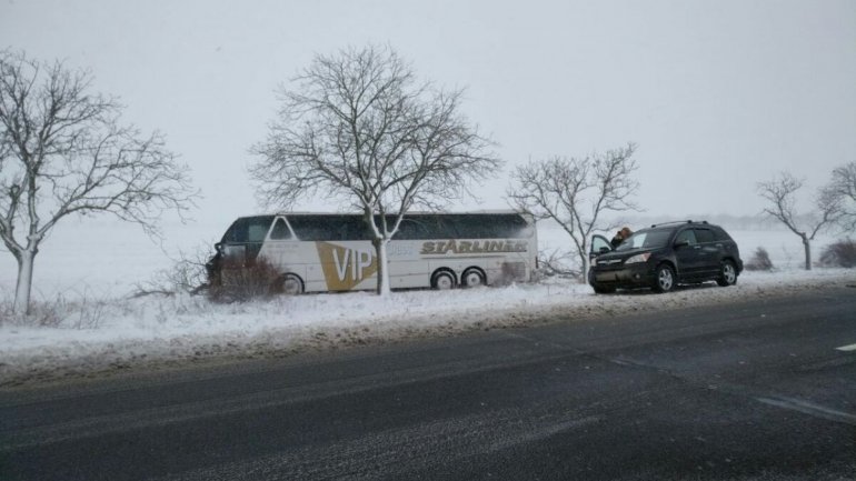 Tour bus went off the lane and hit a tree near Bujor village