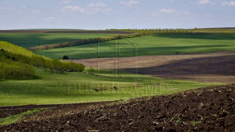 Owners of abandoned land to be fined and deprived of land 