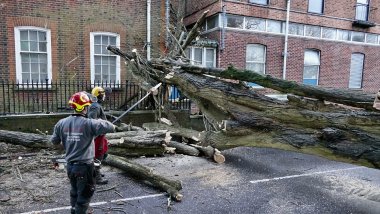 Photo report.Monument from Nemţeni village was vandalized