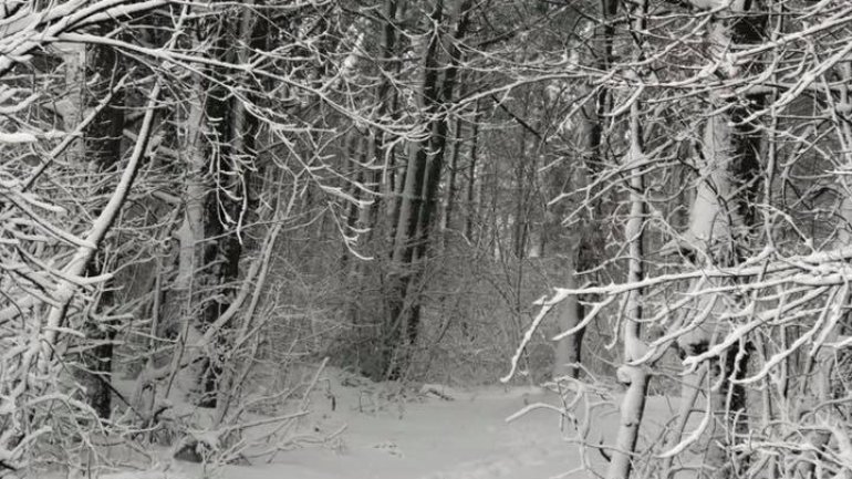 Chisinau-Leuseni road looks like in fairy tale