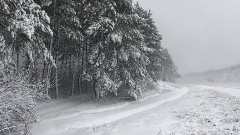 Chisinau-Leuseni road looks like in fairy tale