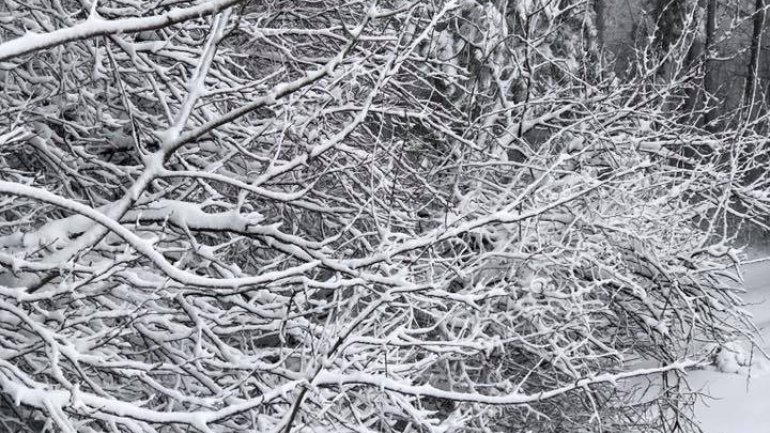 Chisinau-Leuseni road looks like in fairy tale